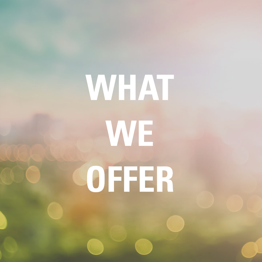What We Offer